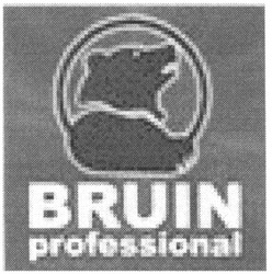Заявка на торговельну марку № m200717490: bruin; professional