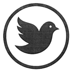 Заявка на торговельну марку № m202512039