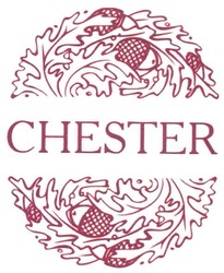 Свідоцтво торговельну марку № 111185 (заявка m200801917): chester