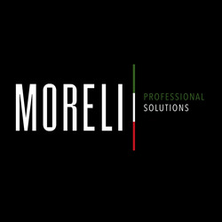 Заявка на торговельну марку № m202421453: moreli professional solutions