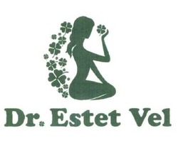 Свідоцтво торговельну марку № 264741 (заявка m201724903): dr.estet vel; dr estet vel
