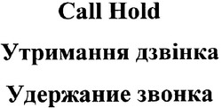 Заявка на торговельну марку № m200507293: call hold; утримання дзвінка; удержание звонка