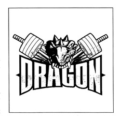 Свідоцтво торговельну марку № 312161 (заявка m201930685): dragon