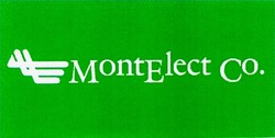 Заявка на торговельну марку № 95041143: montelect co.