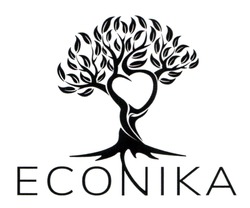 Заявка на торговельну марку № m202411565: econika
