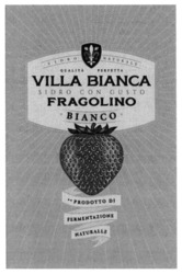 Свідоцтво торговельну марку № 339788 (заявка m202127389): villa bianca sidro con gusto fragolino; qualita perfetta; naturale; bianco; prodotto di fermentazione naturalle