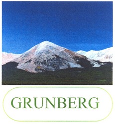 Заявка на торговельну марку № m200905514: grunberg