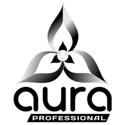 Свідоцтво торговельну марку № 233018 (заявка m201600855): aura professional