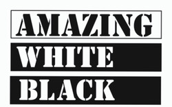 Заявка на торговельну марку № m202314018: amazing white black