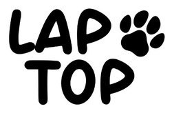 Заявка на торговельну марку № m202510245: тор; lap top