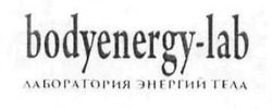 Заявка на торговельну марку № m201615634: bodyenergy-lab; лаборатория энергий тела