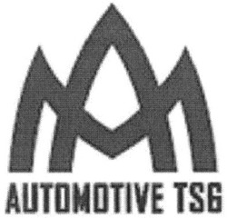 Заявка на торговельну марку № m200809578: am; ma; automotive tsg; ам; ма