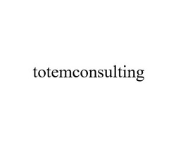 Заявка на торговельну марку № m202518984: totemconsulting