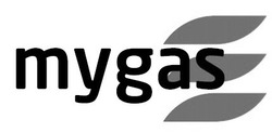 Свідоцтво торговельну марку № 302256 (заявка m202025341): mygas