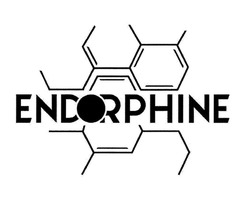 Свідоцтво торговельну марку № 317285 (заявка m202010298): endorphine