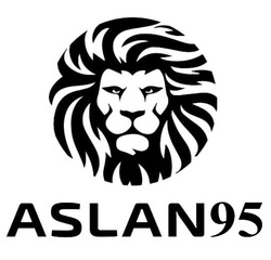 Заявка на торговельну марку № m202301922: aslan 95; aslan95