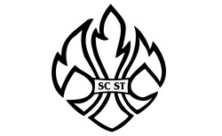 Заявка на торговельну марку № m202516960: sc st