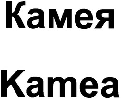 Свідоцтво торговельну марку № 43284 (заявка 2002097664): kamea; камея