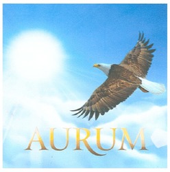 Заявка на торговельну марку № m200908454: aurum