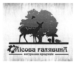 Свідоцтво торговельну марку № 283866 (заявка m201820593): лісова галявина; натуральна продукція