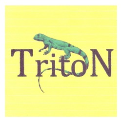 Заявка на торговельну марку № m201217946: triton