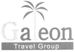 Заявка на торговельну марку № m200806386: galeon; travel group