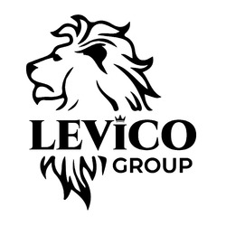 Свідоцтво торговельну марку № 328220 (заявка m202106469): levico group