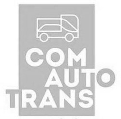 Свідоцтво торговельну марку № 307569 (заявка m201927153): com auto trans