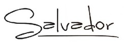 Заявка на торговельну марку № m202104080: salvador