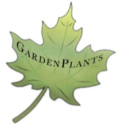 Свідоцтво торговельну марку № 236428 (заявка m201609581): garden plants