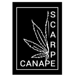 Заявка на торговельну марку № m201619165: canape scarpe