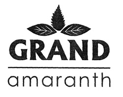 Свідоцтво торговельну марку № 301208 (заявка m201918269): grand amaranth