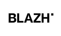 Заявка на торговельну марку № m202415724: blazh