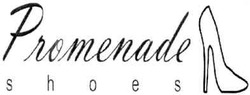 Заявка на торговельну марку № m201101303: promenade shoes