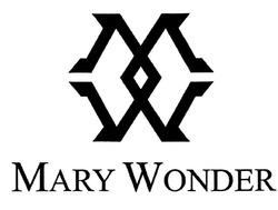 Свідоцтво торговельну марку № 310477 (заявка m202001882): mary wonder