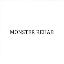 Свідоцтво торговельну марку № 317447 (заявка m202004779): monster rehab