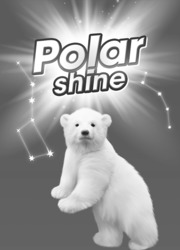 Заявка на торговельну марку № m202210749: polar shine