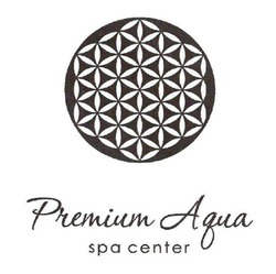 Заявка на торговельну марку № m201715005: premium aqua; spa center