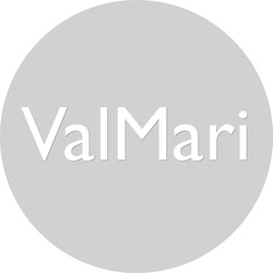 Заявка на торговельну марку № m202604875