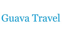 Свідоцтво торговельну марку № 332516 (заявка m202100591): guava travel