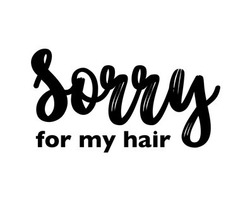 Свідоцтво торговельну марку № 291856 (заявка m201909087): sorry for my hair