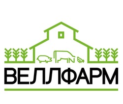 Свідоцтво торговельну марку № 314660 (заявка m202007267): веллфарм