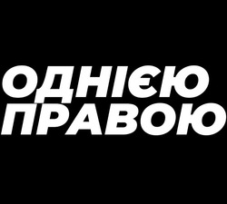 Свідоцтво торговельну марку № 356253 (заявка m202303192): однією правою