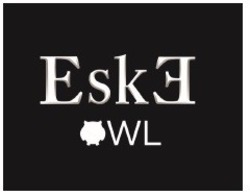Свідоцтво торговельну марку № 311294 (заявка m202000790): eske; wl