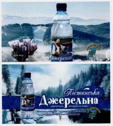 Заявка на торговельну марку № m201828508: мінеральна вода пістинська джерельна безцінний дар карпатських гір; t
