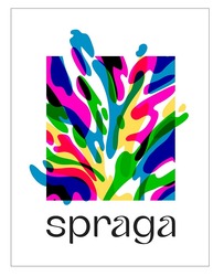 Заявка на торговельну марку № m202311073: spraga