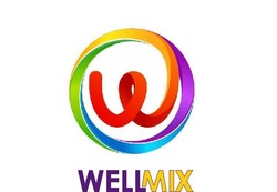 Заявка на торговельну марку № m202413695: міх; well mix; wellmix