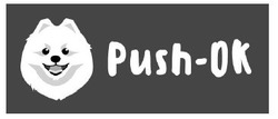 Заявка на торговельну марку № m202112564: push-ok; push ok