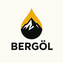 Заявка на торговельну марку № m202510920: bergol