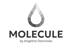 Заявка на торговельну марку № m202402488: molecule by angelina slatvinska